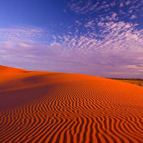 Big Red Sand Dune, Simpson Desert - All you need to know!